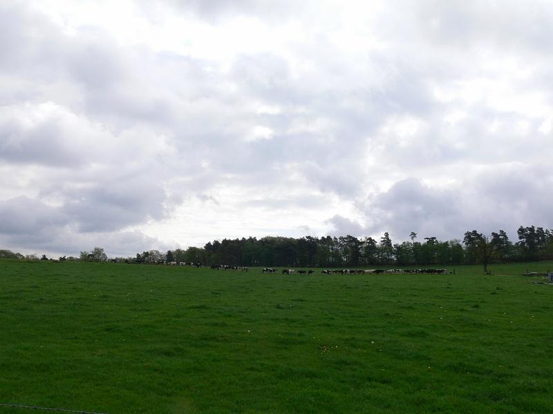 Mont Saint Michel 2010 - 287.jpg